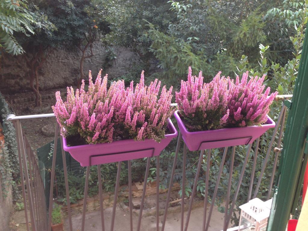 Apartamento Casa Maron